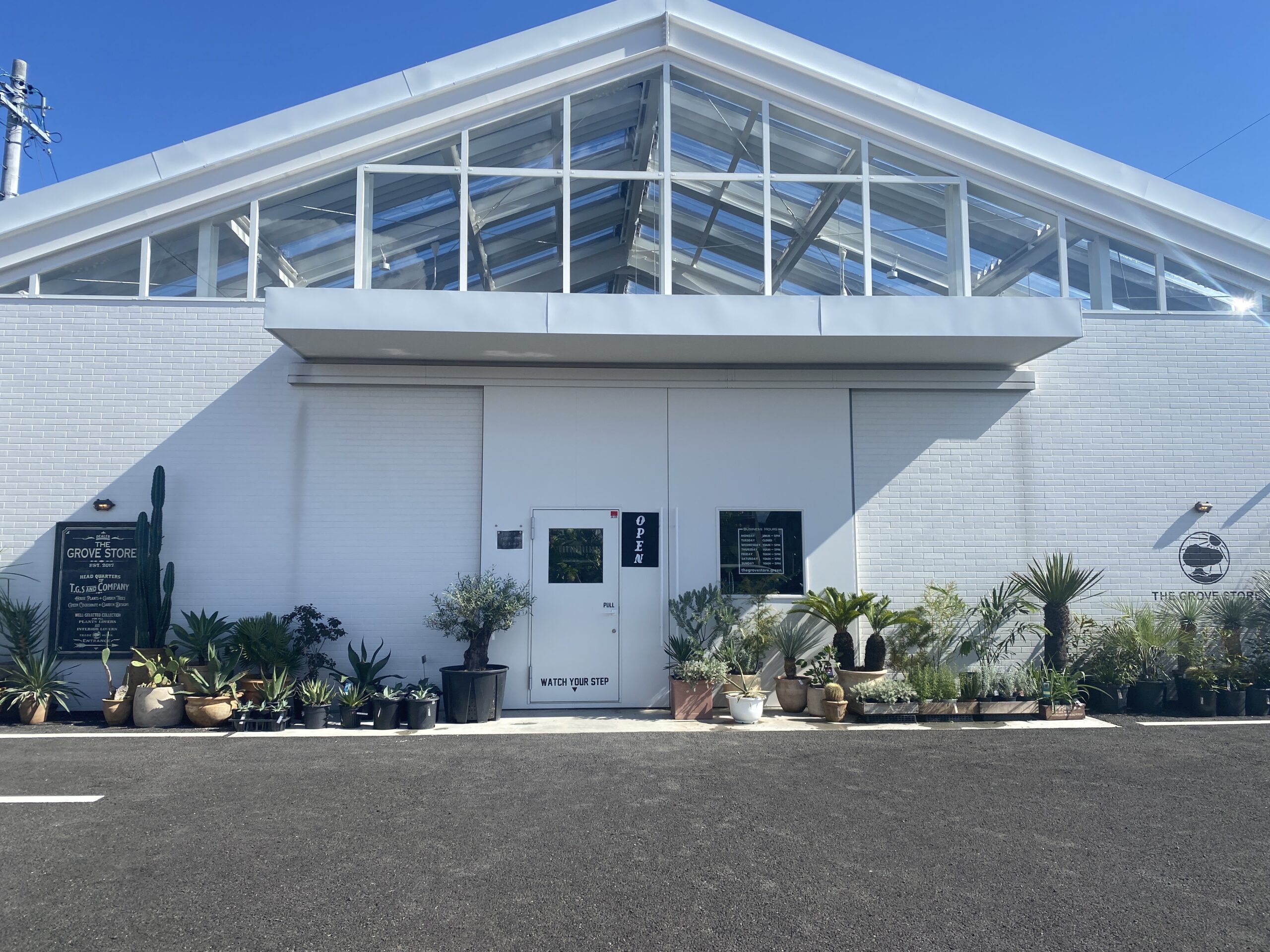 観葉植物の聖地GROVE STORE