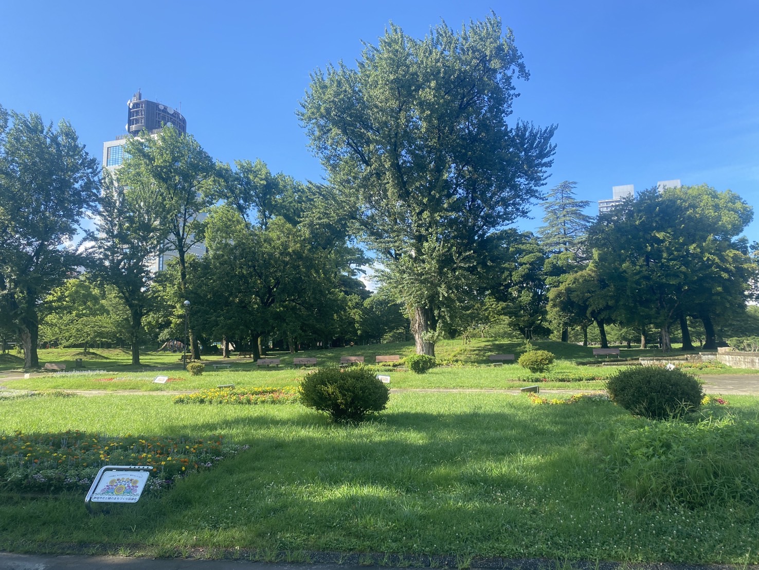 駿府公園で早朝散歩