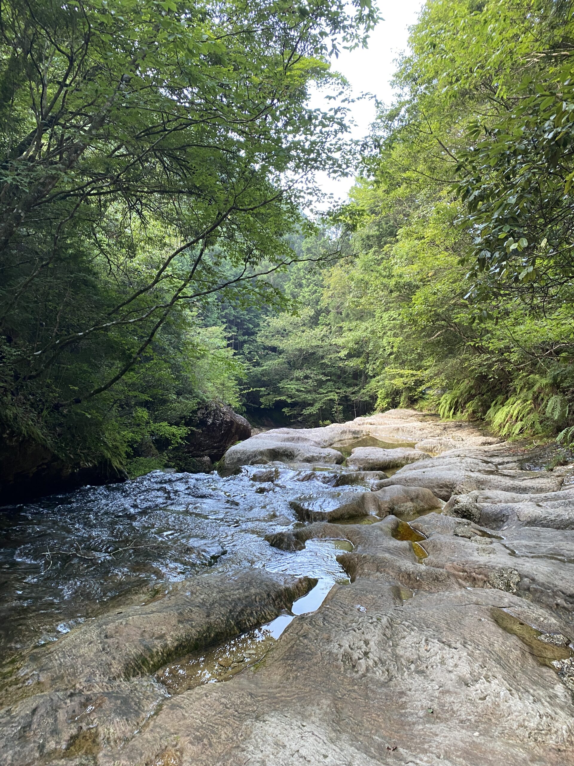 玉川BBQ