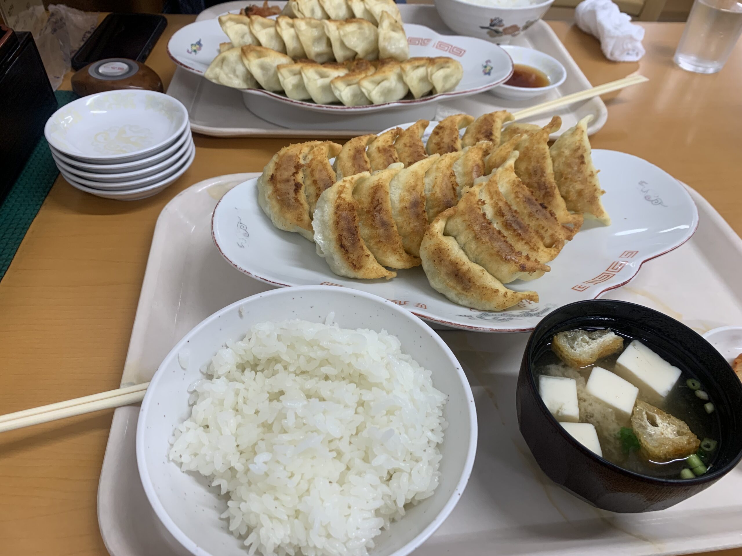 今日は餃子の気分